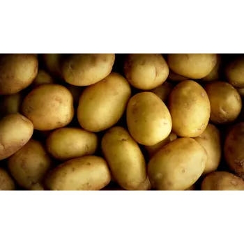 Potato (24)-688874-22485.webp